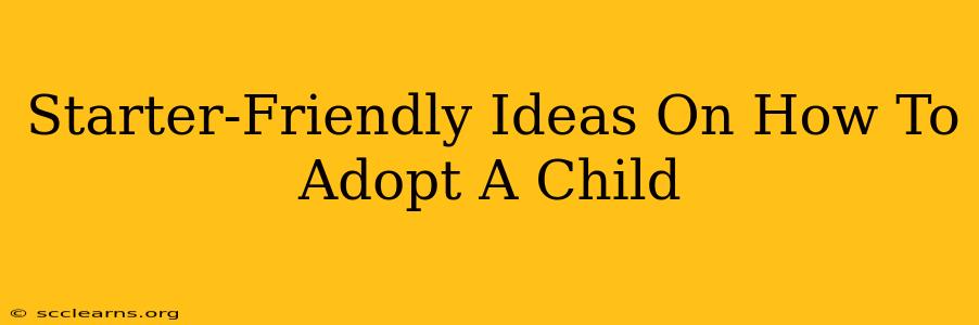 Starter-Friendly Ideas On How To Adopt A Child