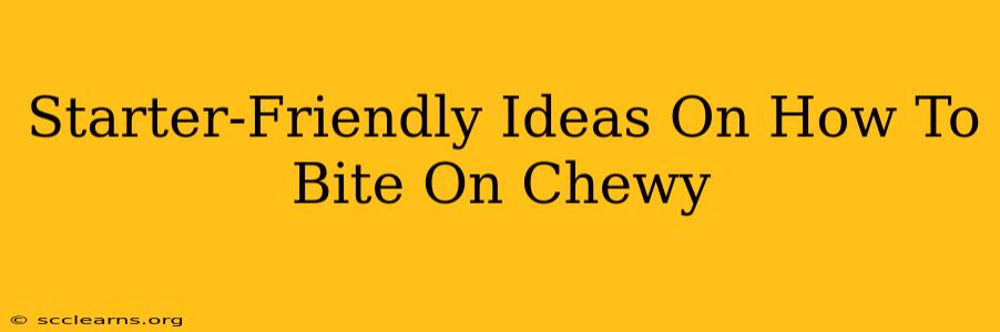 Starter-Friendly Ideas On How To Bite On Chewy