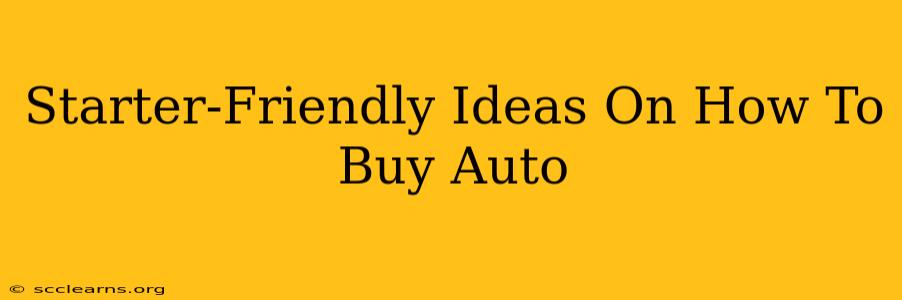 Starter-Friendly Ideas On How To Buy Auto