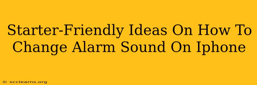 Starter-Friendly Ideas On How To Change Alarm Sound On Iphone