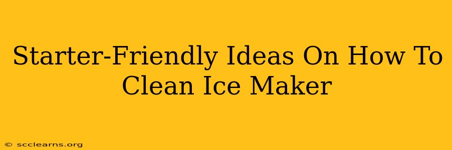 Starter-Friendly Ideas On How To Clean Ice Maker