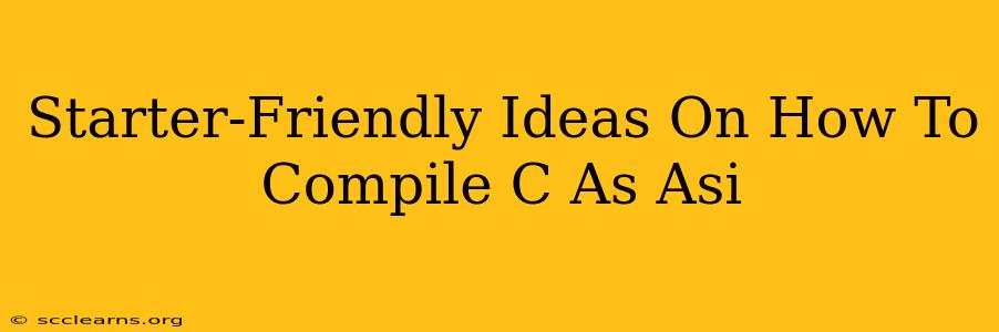 Starter-Friendly Ideas On How To Compile C As Asi