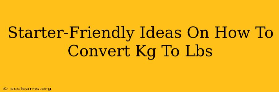 Starter-Friendly Ideas On How To Convert Kg To Lbs