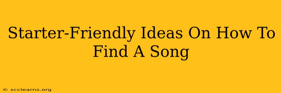 Starter-Friendly Ideas On How To Find A Song