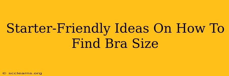 Starter-Friendly Ideas On How To Find Bra Size