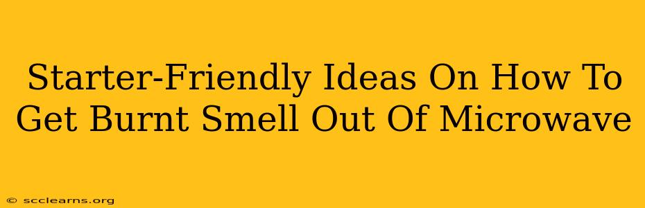 Starter-Friendly Ideas On How To Get Burnt Smell Out Of Microwave