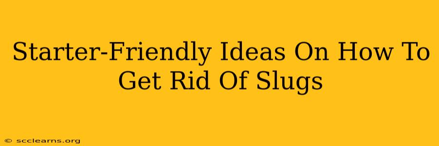 Starter-Friendly Ideas On How To Get Rid Of Slugs