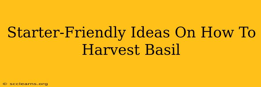 Starter-Friendly Ideas On How To Harvest Basil