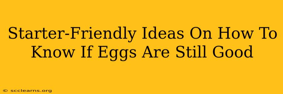 Starter-Friendly Ideas On How To Know If Eggs Are Still Good