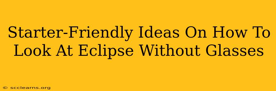 Starter-Friendly Ideas On How To Look At Eclipse Without Glasses