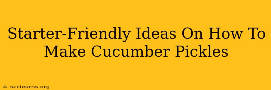 Starter-Friendly Ideas On How To Make Cucumber Pickles