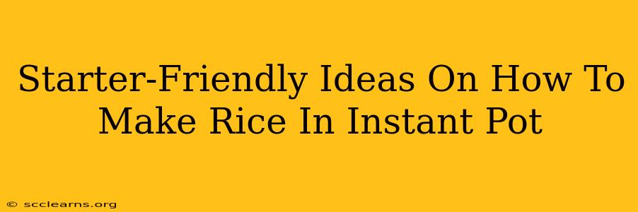 Starter-Friendly Ideas On How To Make Rice In Instant Pot