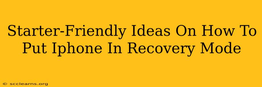 Starter-Friendly Ideas On How To Put Iphone In Recovery Mode