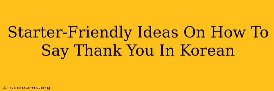 Starter-Friendly Ideas On How To Say Thank You In Korean