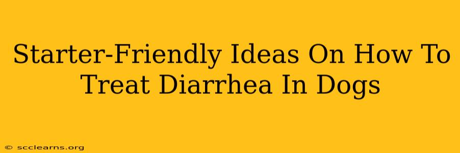 Starter-Friendly Ideas On How To Treat Diarrhea In Dogs