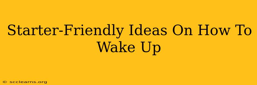 Starter-Friendly Ideas On How To Wake Up