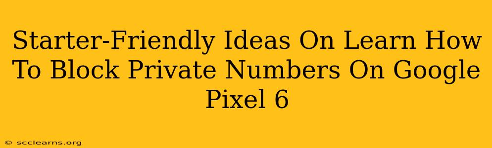 Starter-Friendly Ideas On Learn How To Block Private Numbers On Google Pixel 6