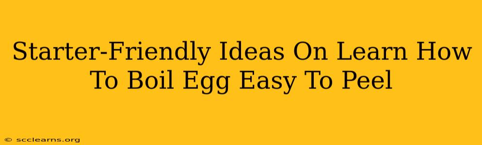 Starter-Friendly Ideas On Learn How To Boil Egg Easy To Peel