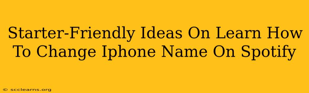 Starter-Friendly Ideas On Learn How To Change Iphone Name On Spotify