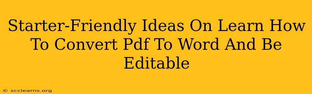 Starter-Friendly Ideas On Learn How To Convert Pdf To Word And Be Editable