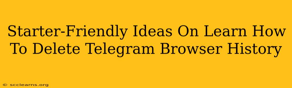 Starter-Friendly Ideas On Learn How To Delete Telegram Browser History