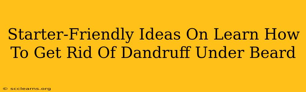 Starter-Friendly Ideas On Learn How To Get Rid Of Dandruff Under Beard