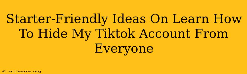 Starter-Friendly Ideas On Learn How To Hide My Tiktok Account From Everyone