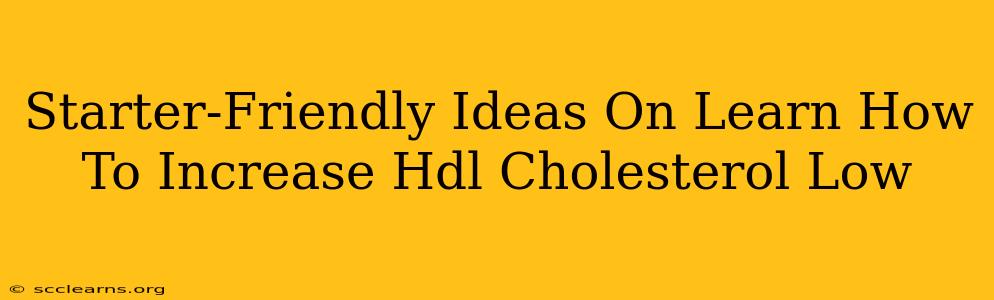 Starter-Friendly Ideas On Learn How To Increase Hdl Cholesterol Low