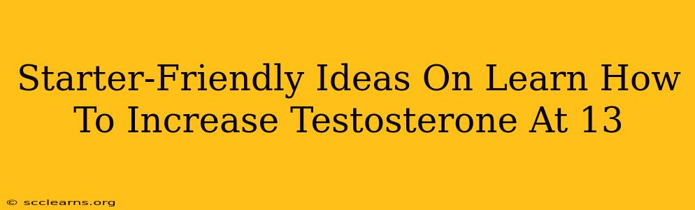 Starter-Friendly Ideas On Learn How To Increase Testosterone At 13