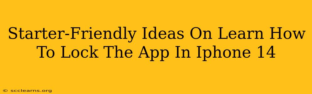 Starter-Friendly Ideas On Learn How To Lock The App In Iphone 14