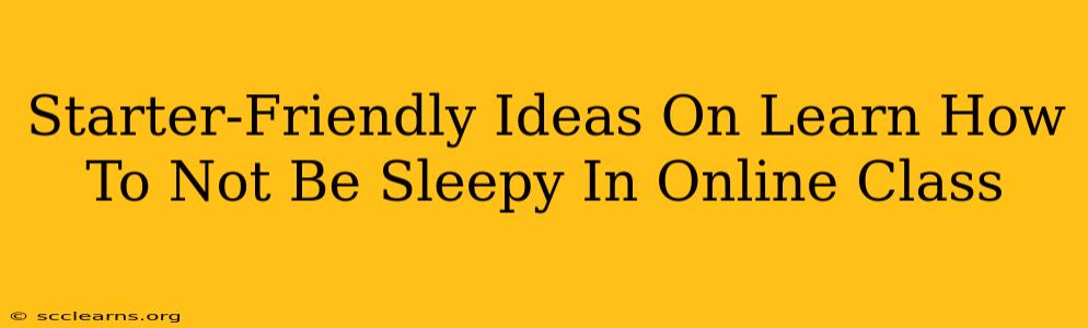 Starter-Friendly Ideas On Learn How To Not Be Sleepy In Online Class