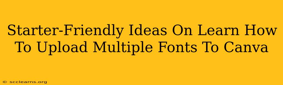 Starter-Friendly Ideas On Learn How To Upload Multiple Fonts To Canva