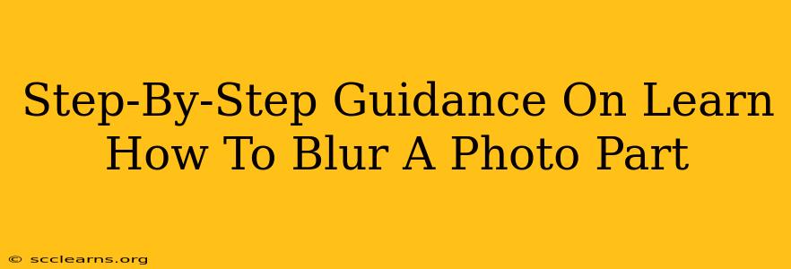 Step-By-Step Guidance On Learn How To Blur A Photo Part