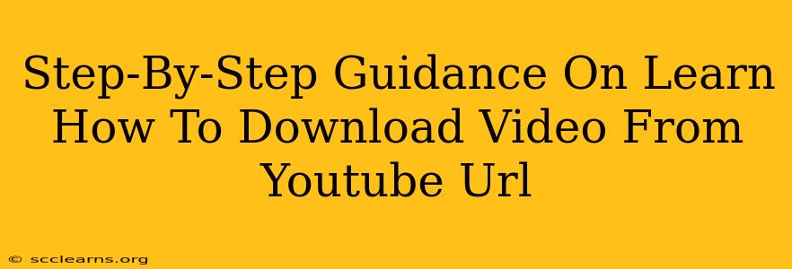 Step-By-Step Guidance On Learn How To Download Video From Youtube Url