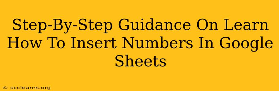 Step-By-Step Guidance On Learn How To Insert Numbers In Google Sheets