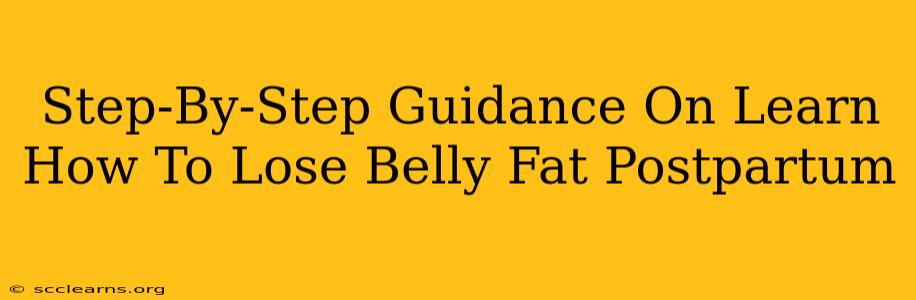 Step-By-Step Guidance On Learn How To Lose Belly Fat Postpartum