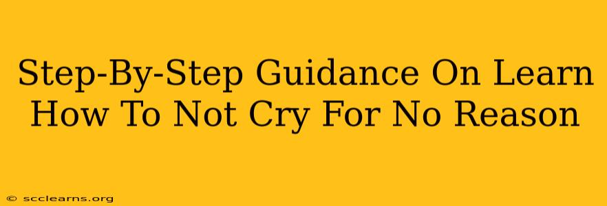 Step-By-Step Guidance On Learn How To Not Cry For No Reason