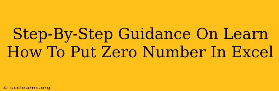 Step-By-Step Guidance On Learn How To Put Zero Number In Excel