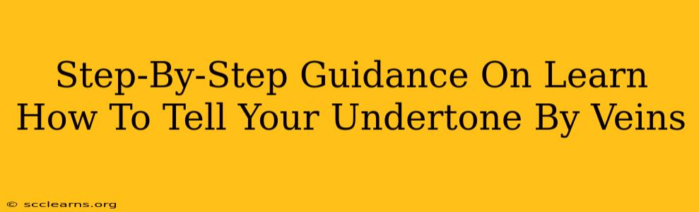 Step-By-Step Guidance On Learn How To Tell Your Undertone By Veins