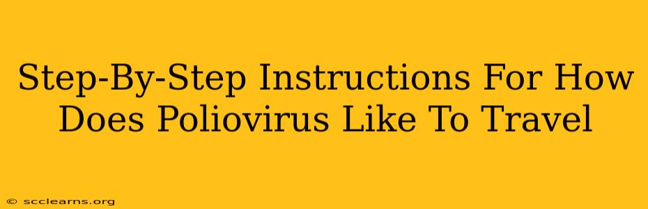 Step-By-Step Instructions For How Does Poliovirus Like To Travel