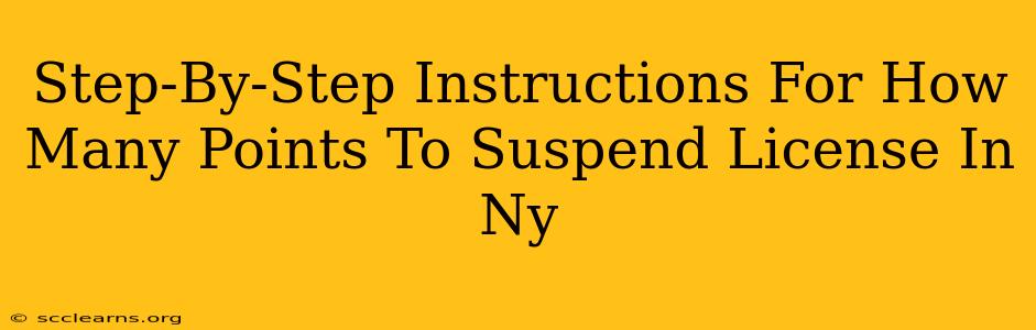 Step-By-Step Instructions For How Many Points To Suspend License In Ny