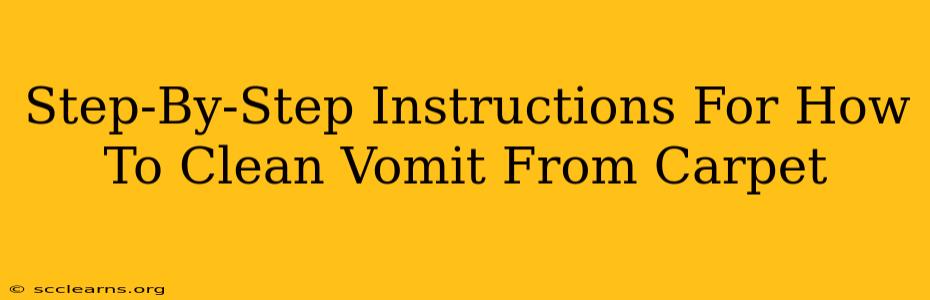 Step-By-Step Instructions For How To Clean Vomit From Carpet