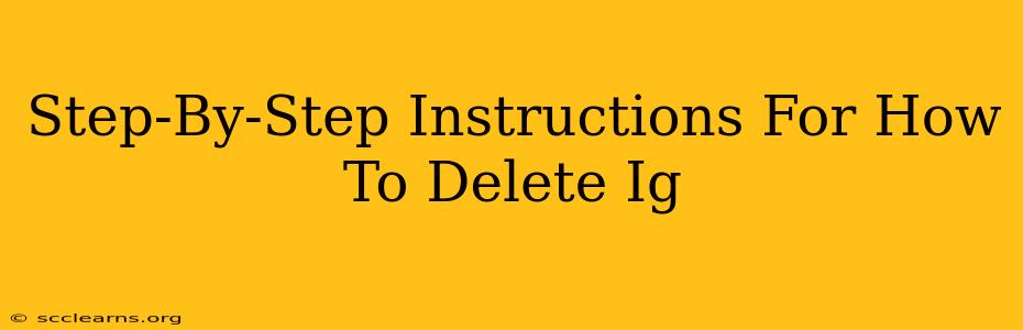 Step-By-Step Instructions For How To Delete Ig