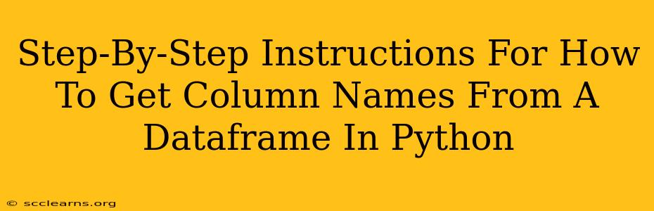 Step-By-Step Instructions For How To Get Column Names From A Dataframe In Python