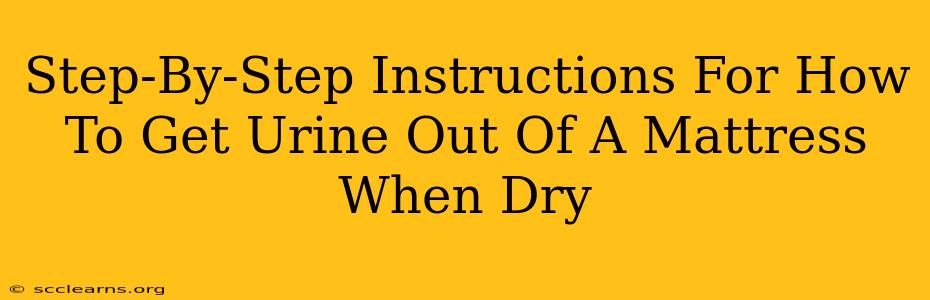 Step-By-Step Instructions For How To Get Urine Out Of A Mattress When Dry