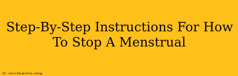 Step-By-Step Instructions For How To Stop A Menstrual