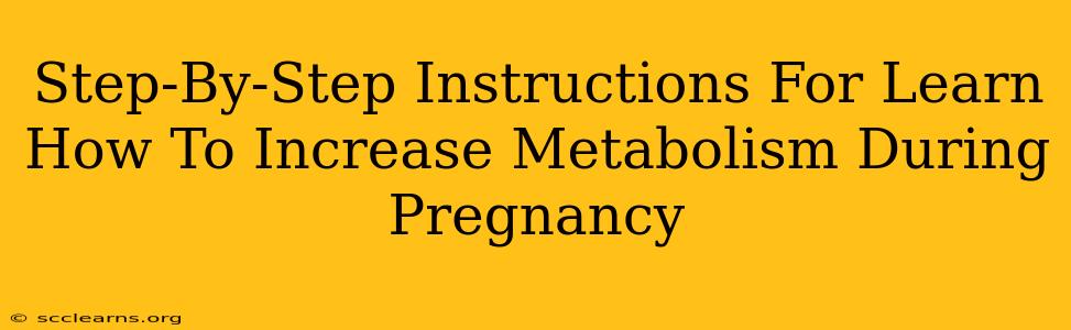 Step-By-Step Instructions For Learn How To Increase Metabolism During Pregnancy