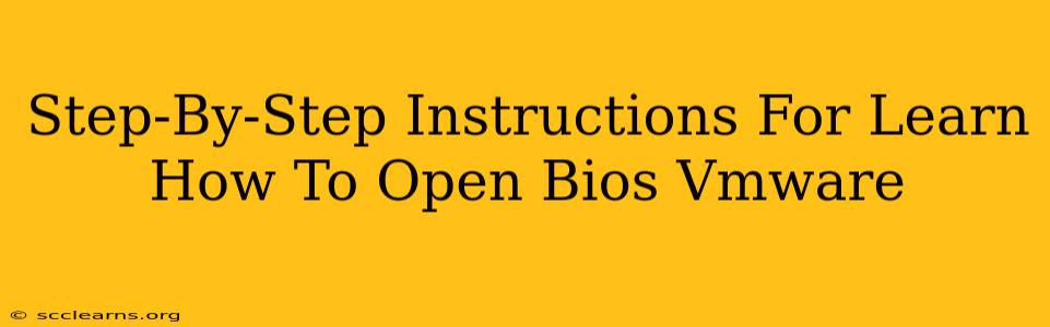 Step-By-Step Instructions For Learn How To Open Bios Vmware