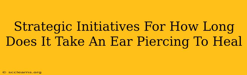 Strategic Initiatives For How Long Does It Take An Ear Piercing To Heal