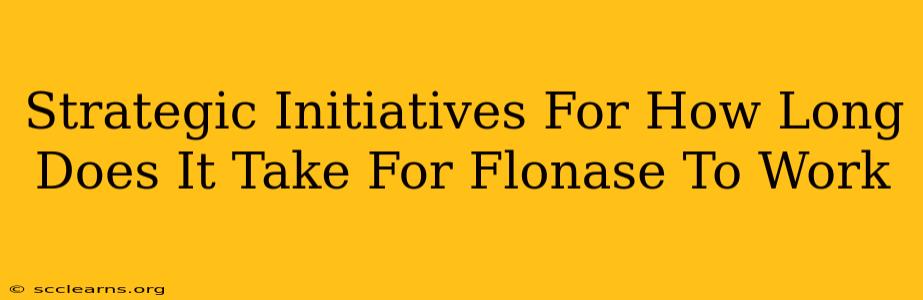 Strategic Initiatives For How Long Does It Take For Flonase To Work